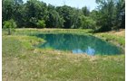 Property photo 10 - 21 Acre Modern Country Estate